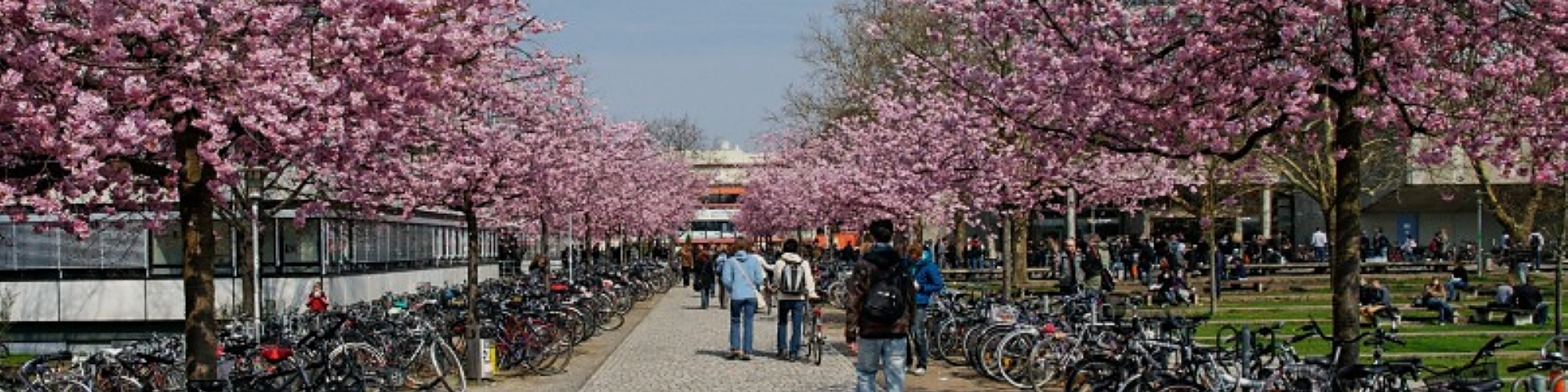 Studentenwerk Göttingen